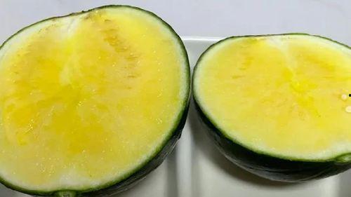 金大妈吃瓜,金大妈的瓜田奇遇记