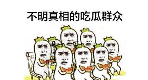 小说吃瓜群众后代,传承与变革的家族传奇