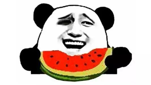 小说吃瓜群众后代,传承与变革的家族传奇