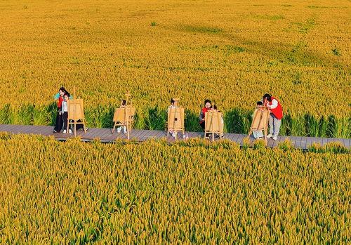 孩子在稻田旁吃瓜,孩子快乐成长瞬间