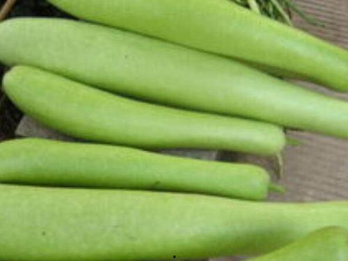 瓠子瓜怎么吃最好,瓠子瓜的多样美味吃法探索