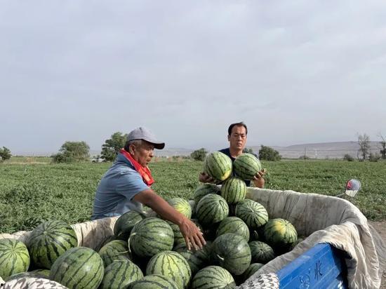 吃瓜离石,揭秘离石美食背后的故事