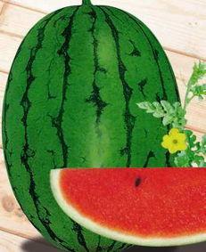 宁陵最新吃瓜,揭秘最新吃瓜事件背后的真相