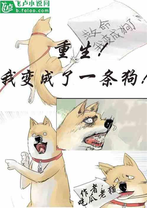 成为吃瓜群众小说,揭秘娱乐圈背后的真相与秘密