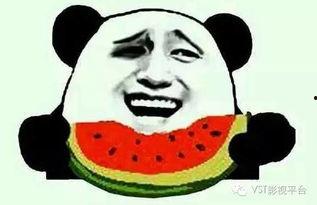 吃瓜看奥运,吃瓜群众欢乐多