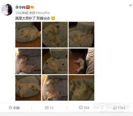 ilyttt吃瓜,揭秘娱乐圈幕后故事