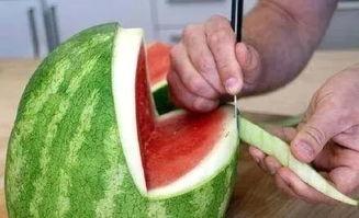 吃瓜鲸鱼88,探寻海洋中的神秘美食传奇