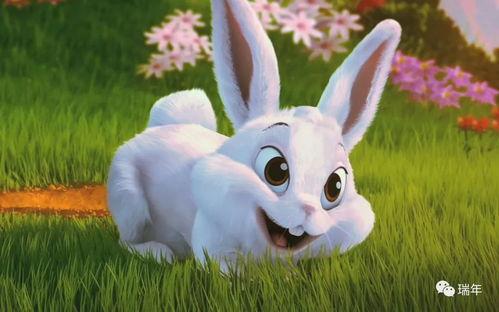 吃瓜的兔砸创作的原声,揭秘娱乐圈幕后真相