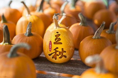 立秋那些地方吃瓜,各地特色吃瓜习俗大盘点