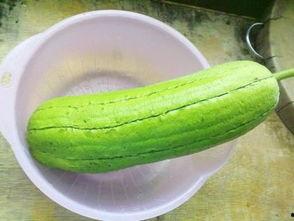 水瓜能晒干吃吗怎么吃