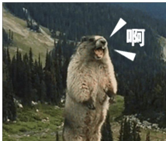 土拨鼠吃瓜表情包,趣味横生的网络文化现象
