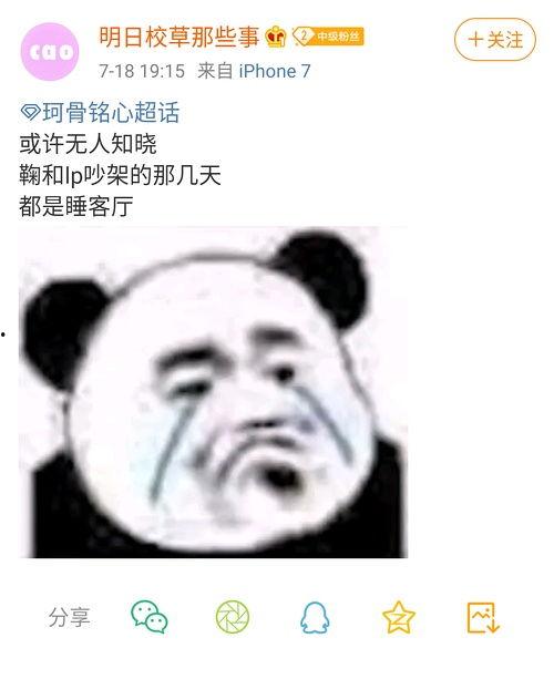 吃瓜小房子,吃瓜小房子的瓜田奇遇记