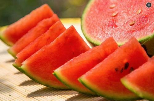 吃瓜小房子,吃瓜小房子的瓜田奇遇记