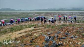 外围吃瓜应该,外围视角下的娱乐圈风云录