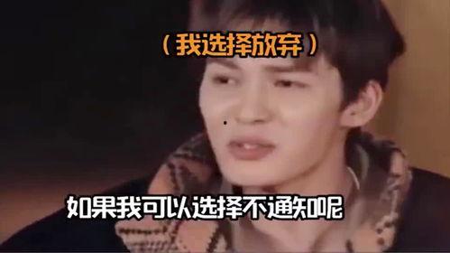 吃瓜最终结局,一场惊天动地的结局揭秘