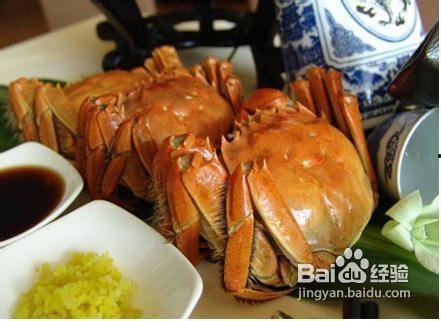 吃瓜螃蟹,吃瓜群众探秘螃蟹美食之旅