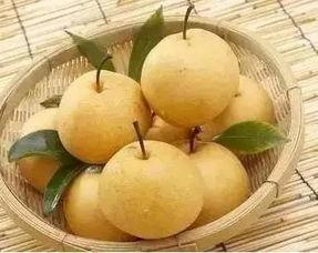 发烧吃果还是瓜,是吃果好还是瓜佳？营养师为你揭秘