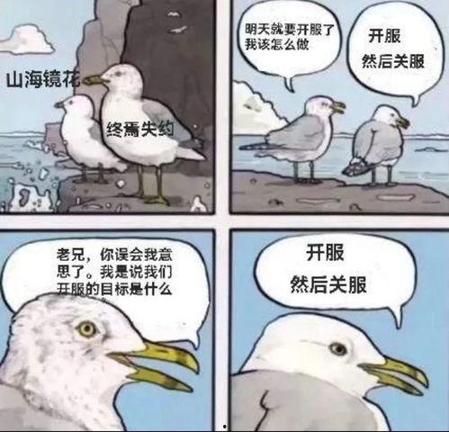 monesy吃瓜,网络舆论的风云变幻