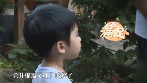 小九吃瓜看戏,揭秘娱乐圈幕后故事