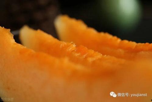 认真吃瓜壁纸图片大全,高清吃瓜壁纸大盘点