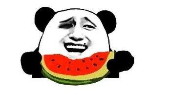 吃瓜小乖乖选手,揭秘娱乐圈幕后故事