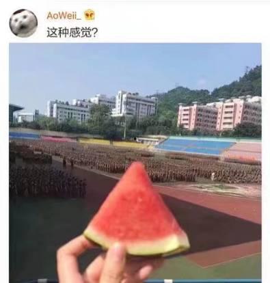 学长很正经吃瓜