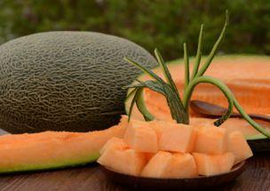 日韩人吃哈密瓜,哈密瓜的跨界之旅