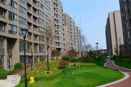 中央华庭吃瓜,揭秘豪宅里的吃瓜风云