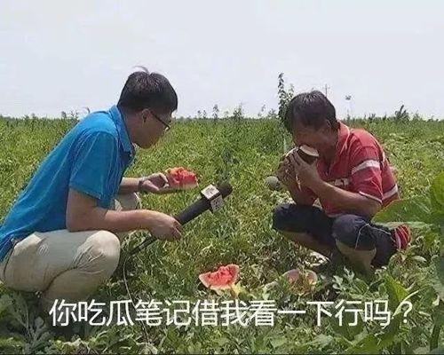 沙雕吃瓜文案,揭秘娱乐圈那些不为人知的幕后故事