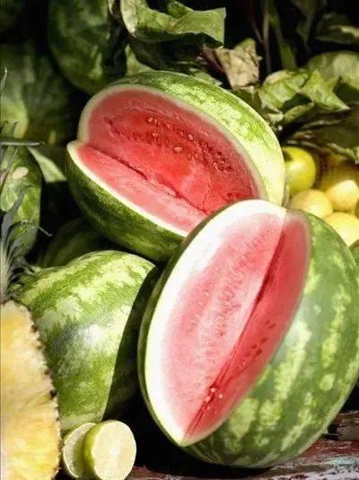 夜巴黎元梦吃瓜