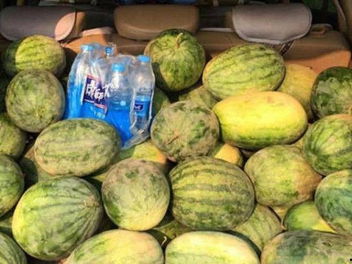 夜巴黎元梦吃瓜