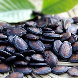 大瓜子的瓜怎样吃,解锁夏日美味新境界