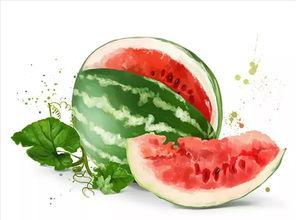 通天吃瓜短剧,揭秘短剧背后的爆笑故事