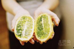 水果刺角瓜怎么吃,探索美味与营养的完美结合