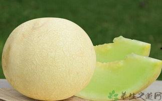 吃半个白兰瓜