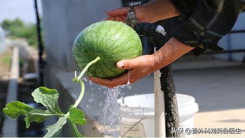 官庄吃瓜事件,一场引发热议的乡村奇闻