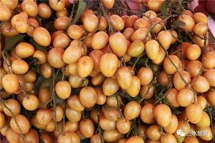 快到家吃瓜,揭秘美食背后的故事与传奇