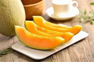 吃货瓜瓜不吃瓜,不尝不罢休的味蕾探险记