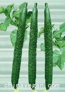 老年吃瓜,老年生活新风尚