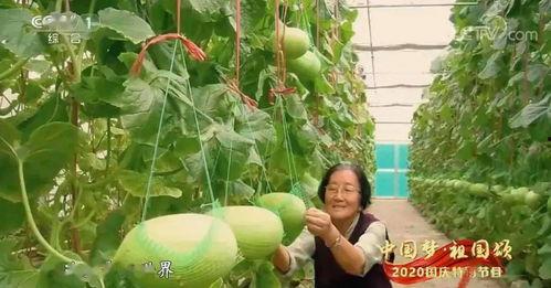 洋瓜吃的我手,手舞足蹈的美食体验