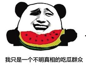 吃瓜四字,吃瓜群众眼中的娱乐圈风云录