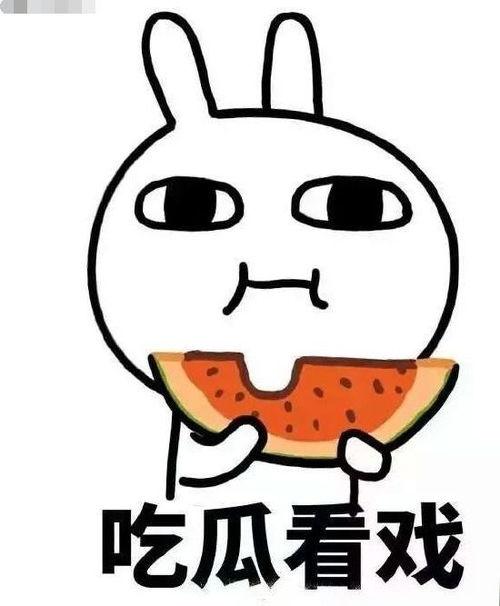 吃瓜危险后续,揭秘网络谣言背后的真相与影响