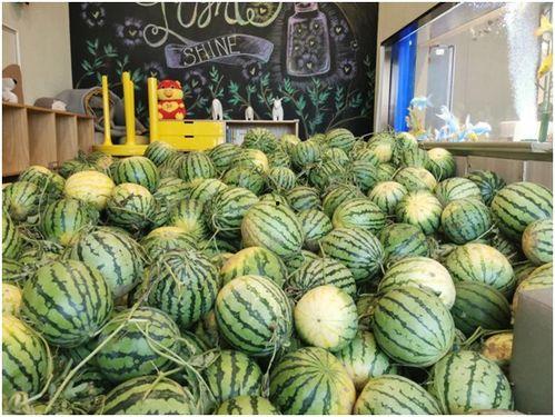 在线吃瓜今日,揭秘网络热点背后的真相