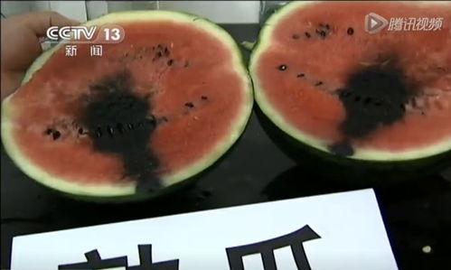 吃瓜吃不过来图文图片,紧跟热点，轻松掌握资讯盛宴