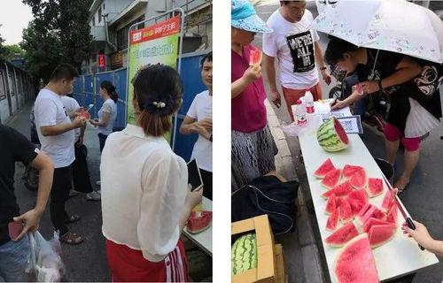 吃瓜社区,网络舆论场中的“瓜田”风云