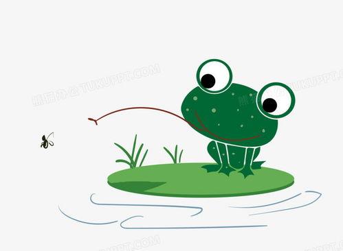 小青蛙吃瓜现场,一场生态美食的视觉盛宴