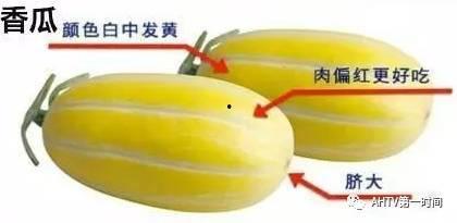 吃瓜啃掉牙,揭秘娱乐圈的“瓜田”奇闻轶事