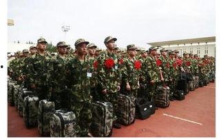 吃瓜新兵大学生,揭秘校园里的新鲜趣事