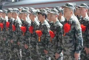 吃瓜新兵大学生,揭秘校园里的新鲜趣事