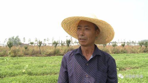 沭阳律师吃瓜,法律界人士的“瓜田李下”